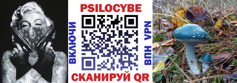 магазин  наркотиков  Карачев  Псилоцибиновые грибы Cubensis 